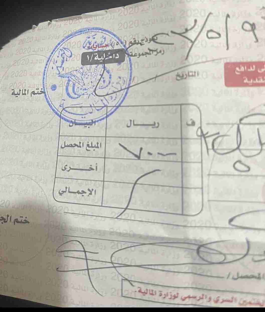 ميليشيات الحوثي تصدر قرارا بشأن اليمنيين الحاصلين على الجنسية الأمريكية
