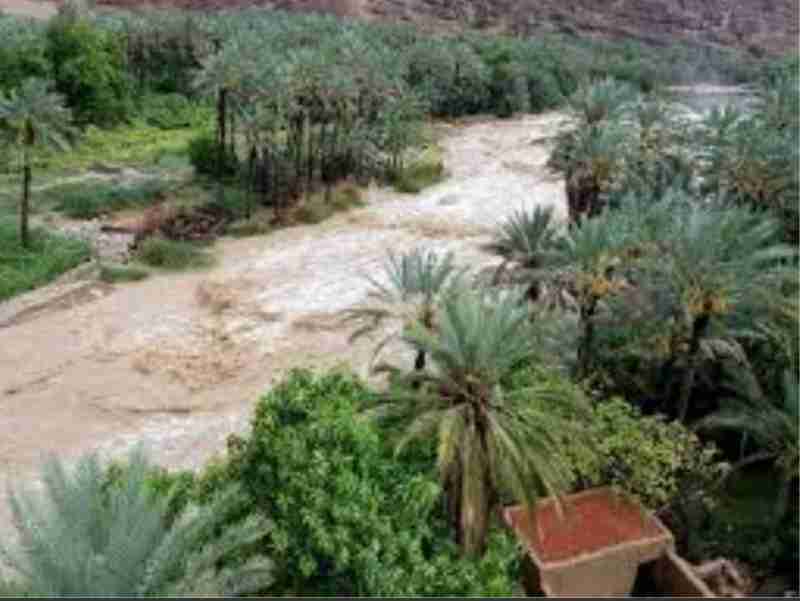 رئيس انتقالي حجر بحضرموت يتفقد ماخلفته السيول من أضرار بقنوات الري الزراعية